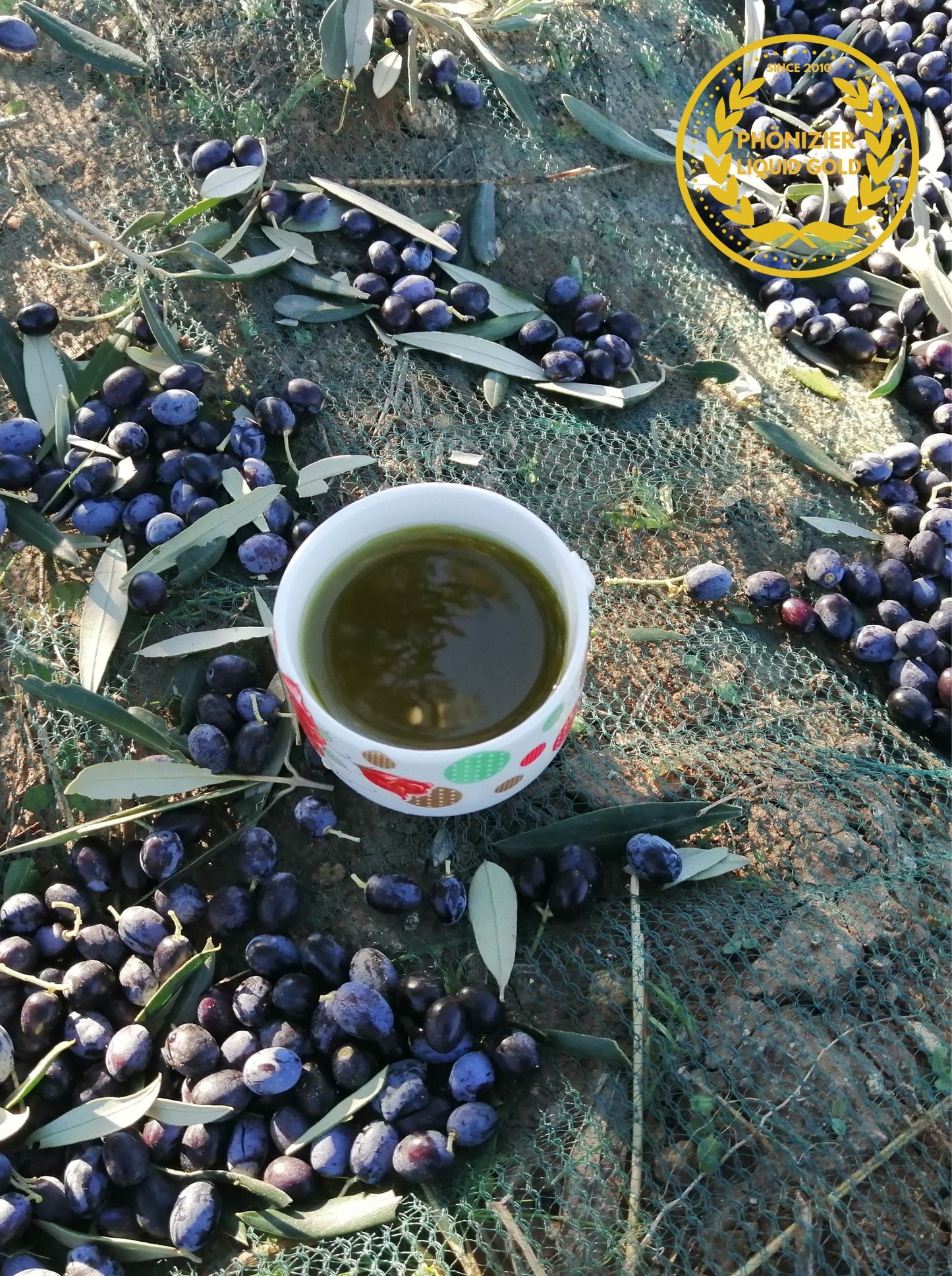 Ernte 2021/2022 Phönizier Liquid Gold - CHETOUI Natives Olivenöl Extra Virgin 750 ml niedriger Säuregehalt